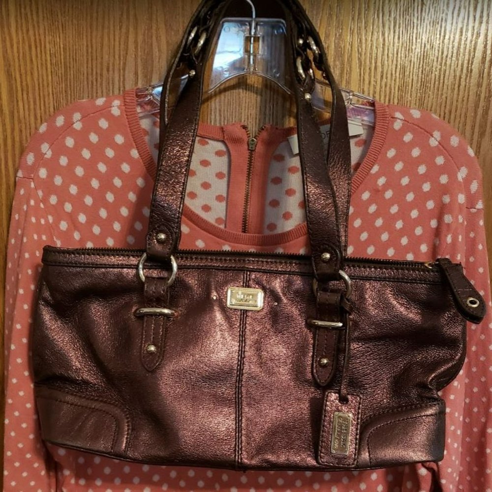 The Sak Bronze Metallic Purse Bag